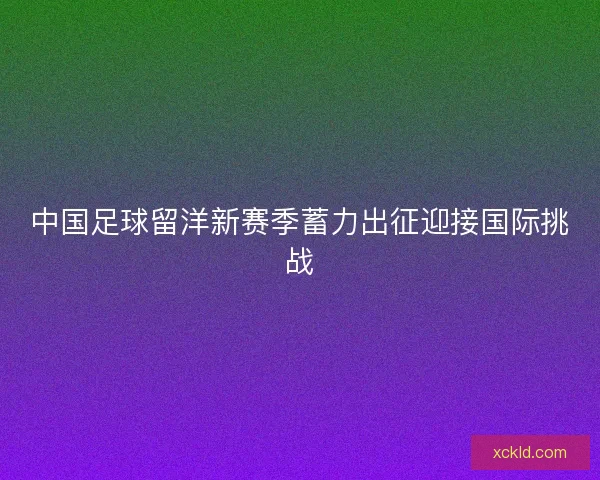 中国足球留洋新赛季蓄力出征迎接国际挑战