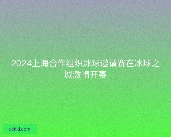 2024上海合作组织冰球邀请赛在冰球之城激情开赛