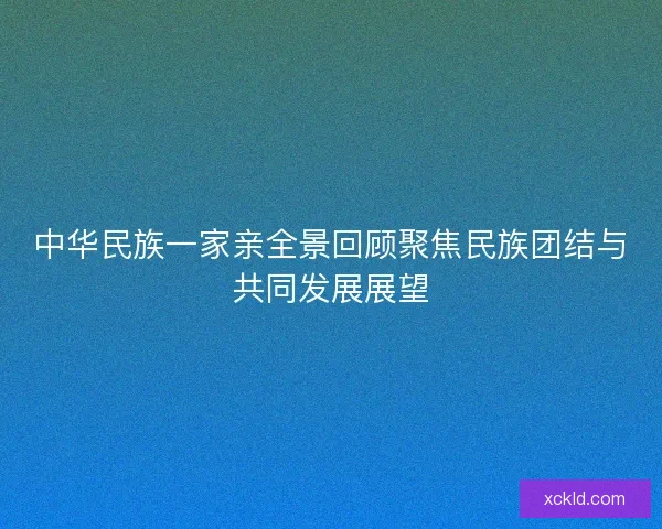中华民族一家亲全景回顾聚焦民族团结与共同发展展望